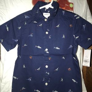 Toddler Boys Button Down